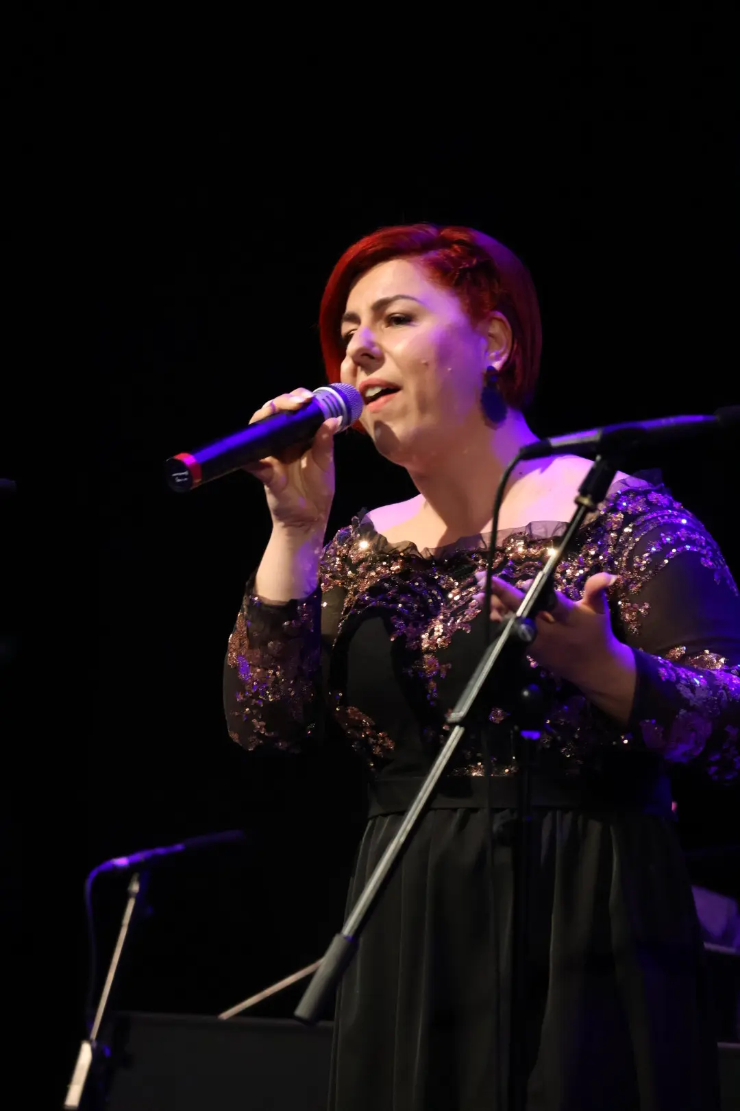 ČAKOVEC Evergreeni za Katružu (53)