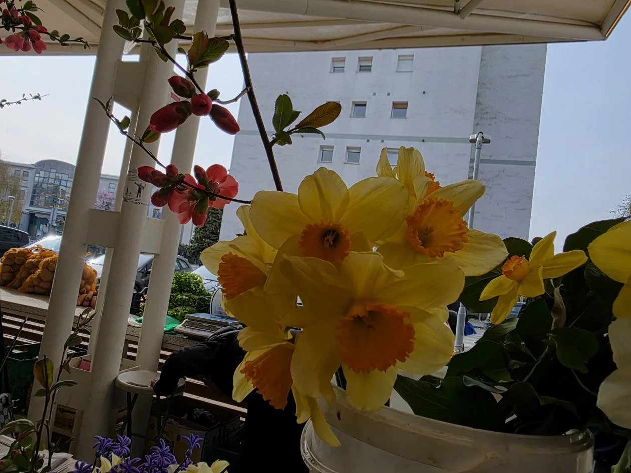 ČAKOVEČKI PLAC 25-3-2026 (18)