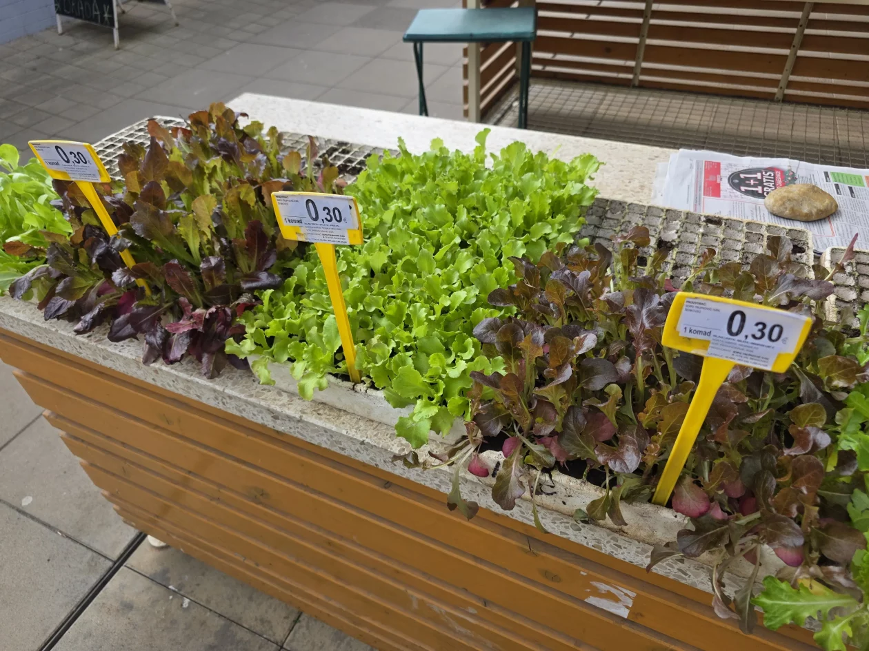 ČAKOVEČKI PLAC 25-3-2026 2 (11)