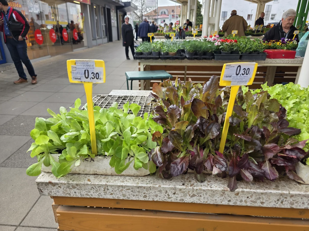 ČAKOVEČKI PLAC 25-3-2026 2 (12)