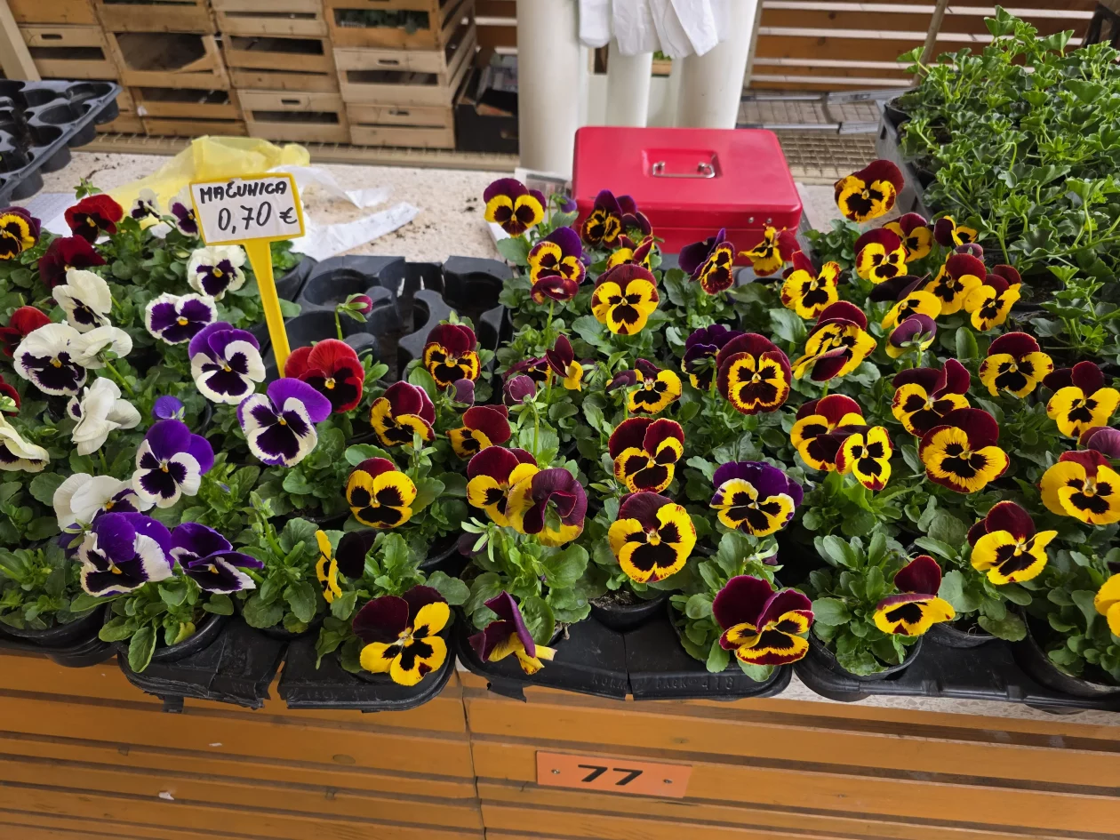 ČAKOVEČKI PLAC 25-3-2026 2 (18)