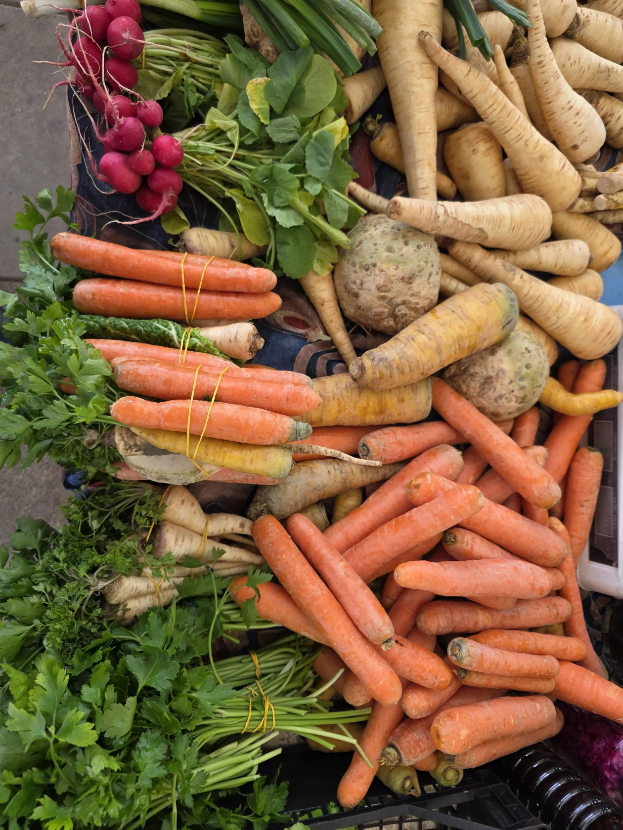 ČAKOVEČKI PLAC 25-3-2026 2 (23)