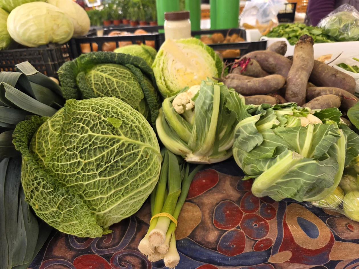 ČAKOVEČKI PLAC 25-3-2026 2 (26)