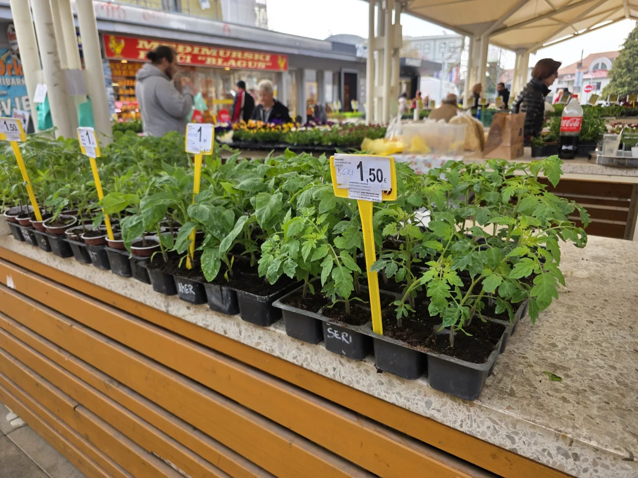 ČAKOVEČKI PLAC 25-3-2026 2 (3)