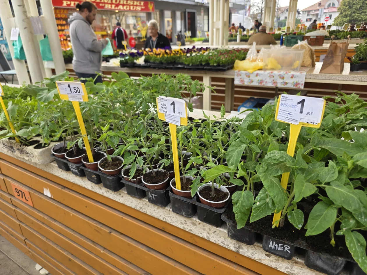 ČAKOVEČKI PLAC 25-3-2026 2 (4)