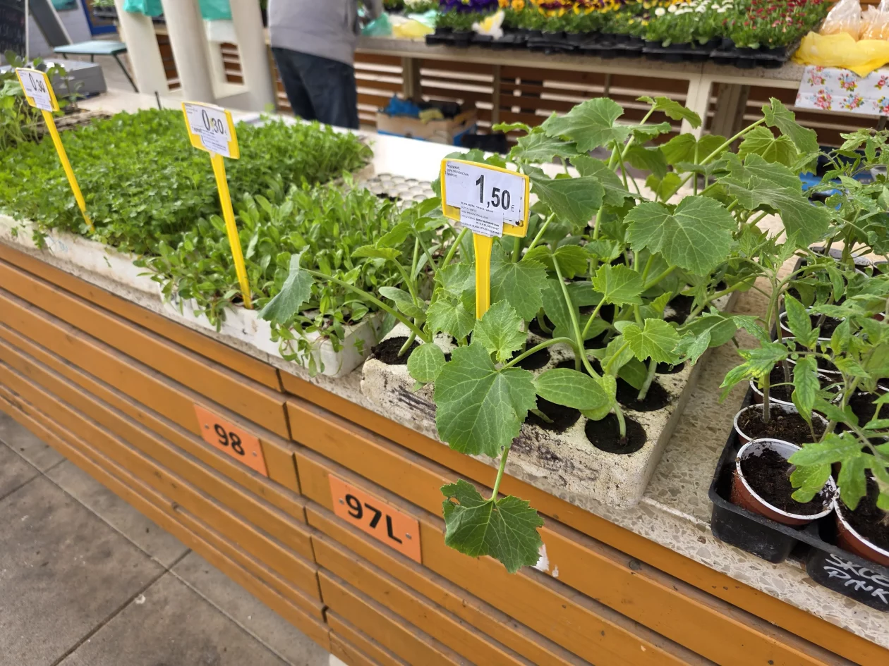 ČAKOVEČKI PLAC 25-3-2026 2 (5)