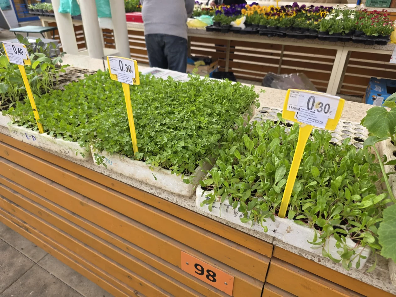 ČAKOVEČKI PLAC 25-3-2026 2 (6)