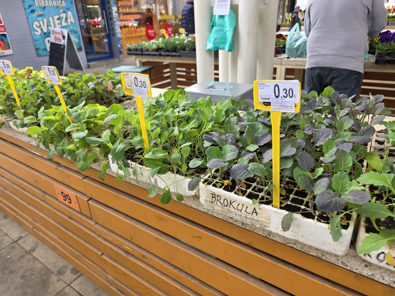 ČAKOVEČKI PLAC 25-3-2026 2 (8)