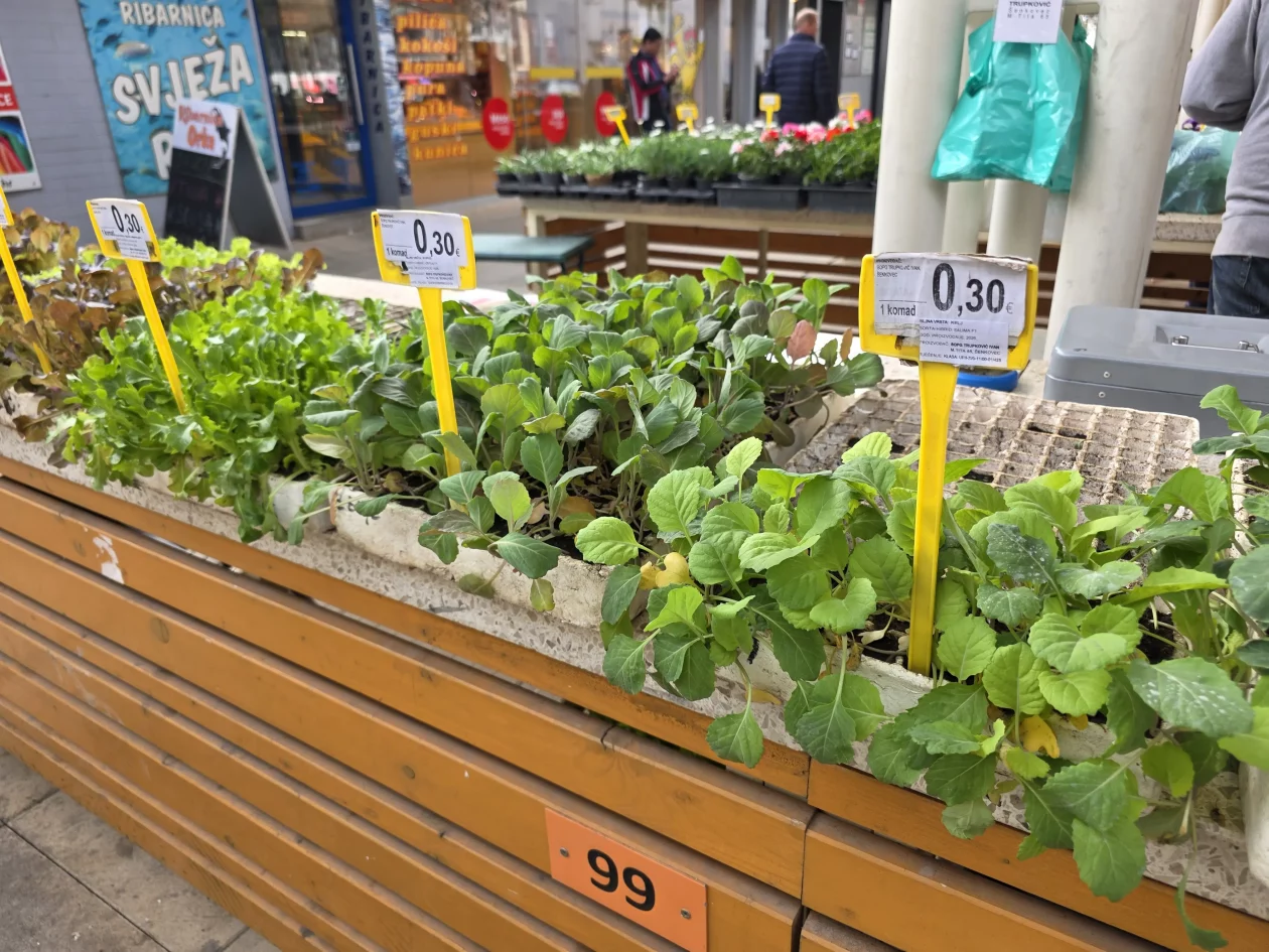 ČAKOVEČKI PLAC 25-3-2026 2 (9)