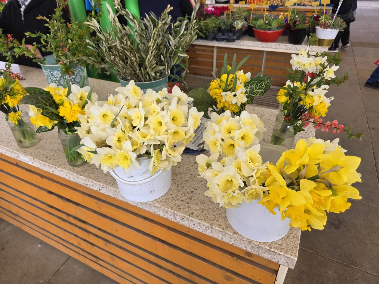 ČAKOVEČKI PLAC 25-3-2026 (26)