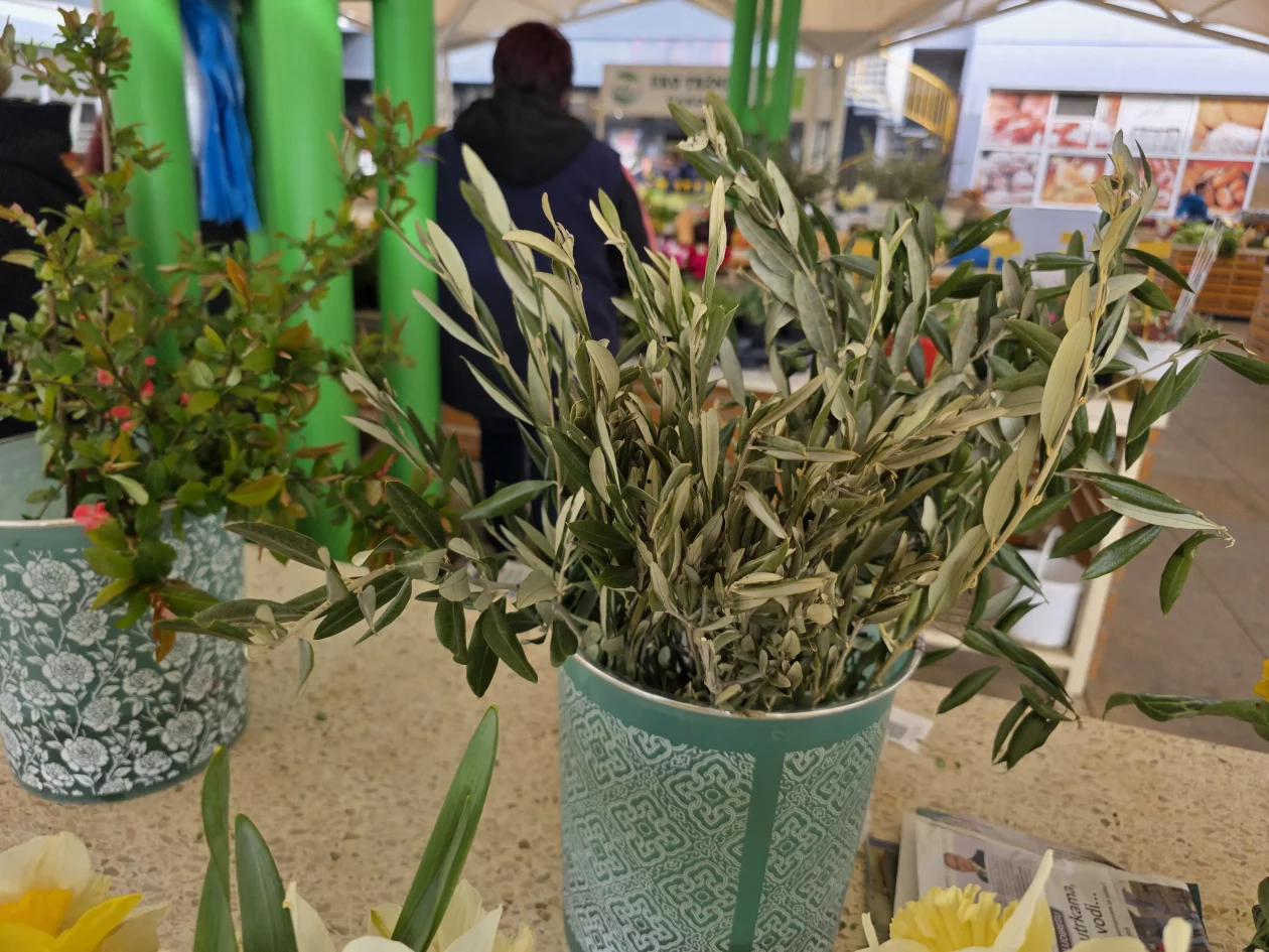 ČAKOVEČKI PLAC 25-3-2026 (27)