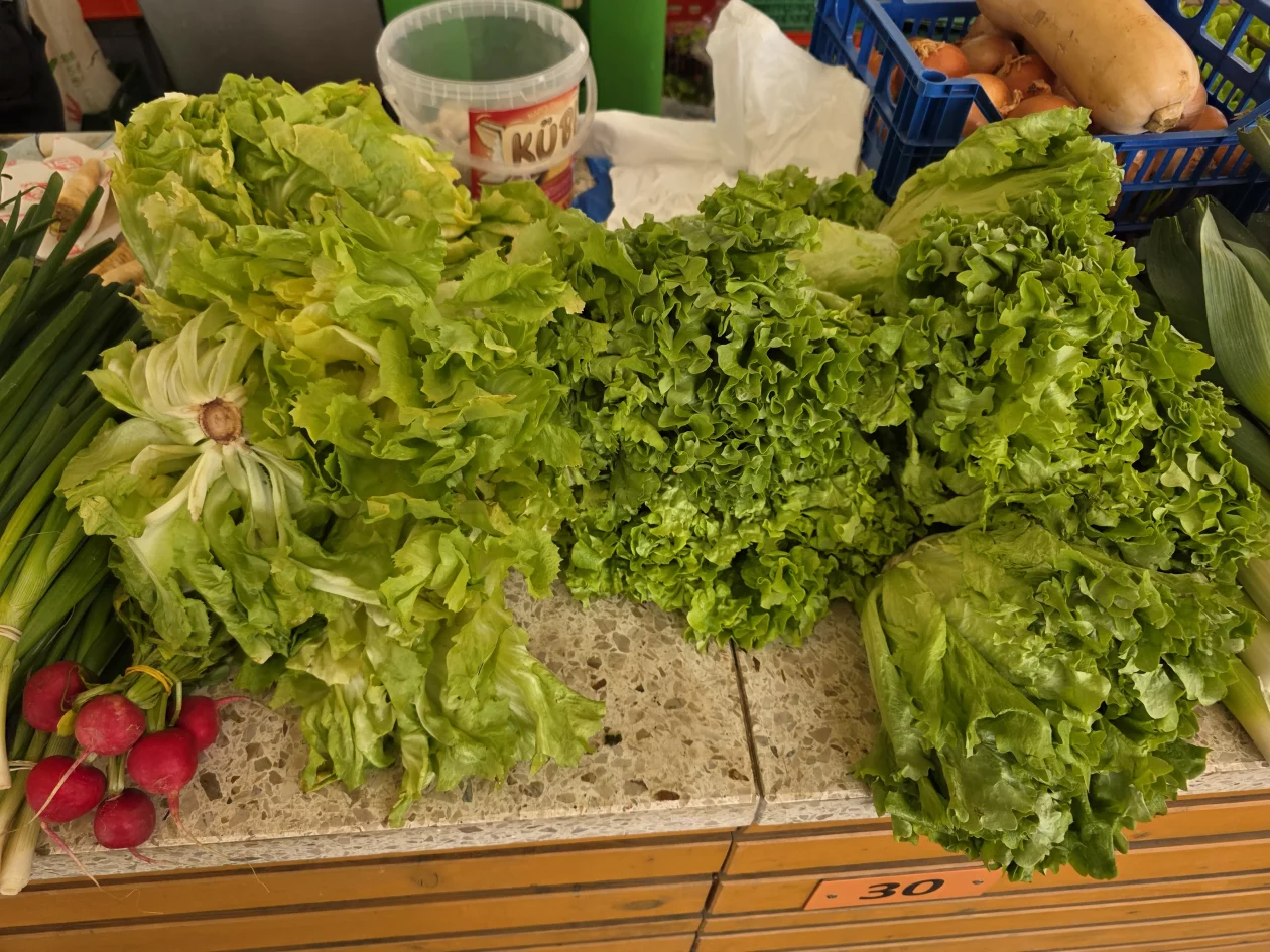 ČAKOVEČKI PLAC 25-3-2026 (37)