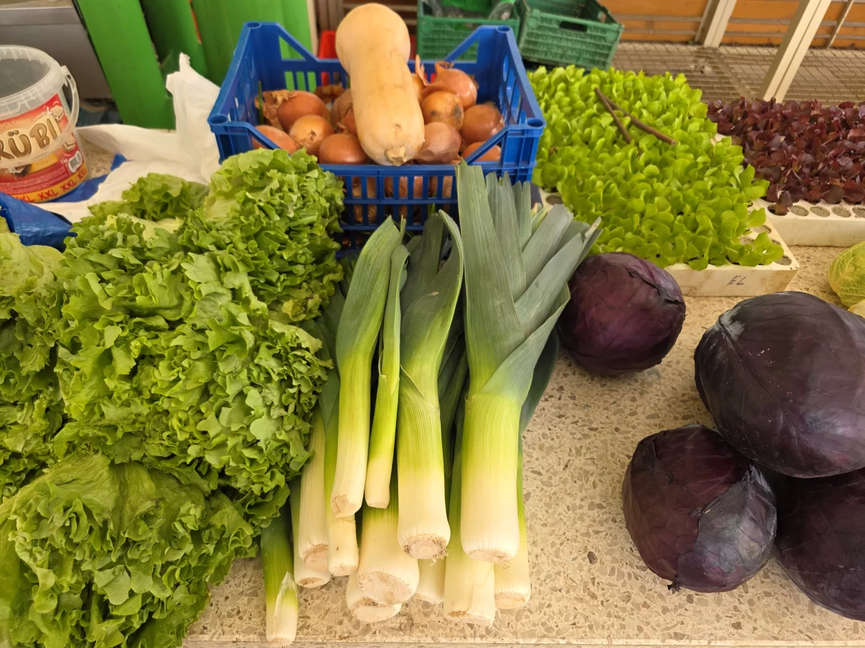 ČAKOVEČKI PLAC 25-3-2026 (38)