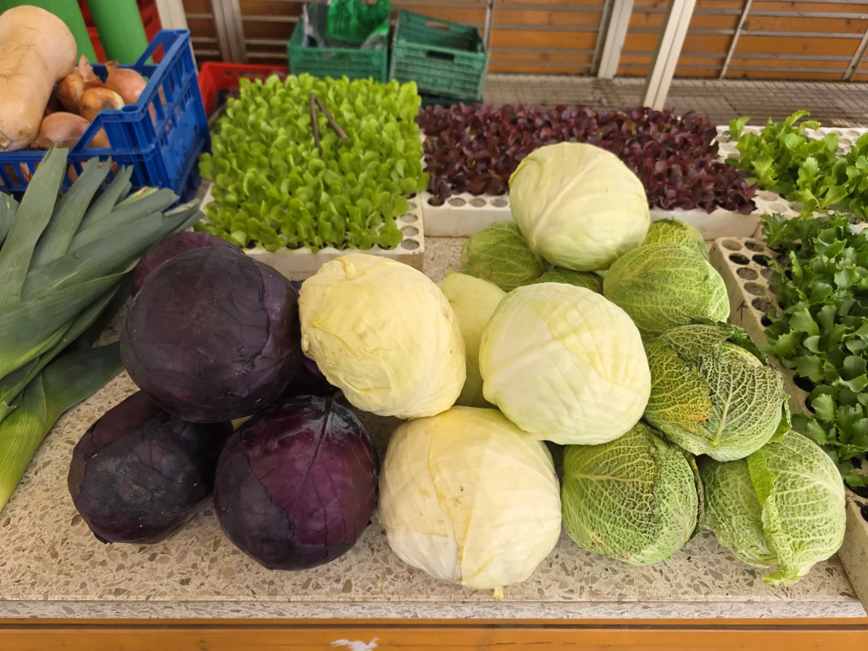 ČAKOVEČKI PLAC 25-3-2026 (39)