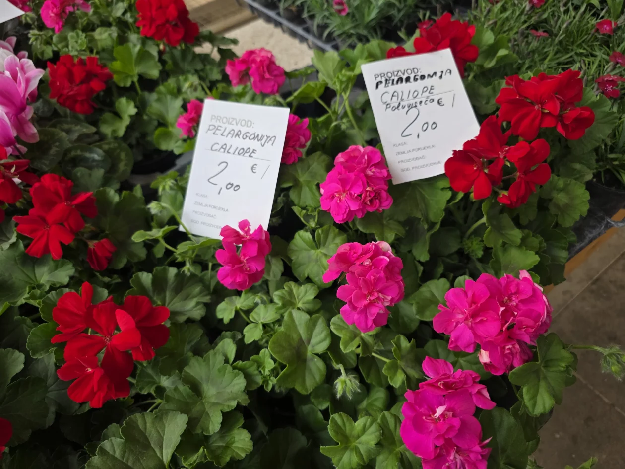 ČAKOVEČKI PLAC 25-3-2026 (43)