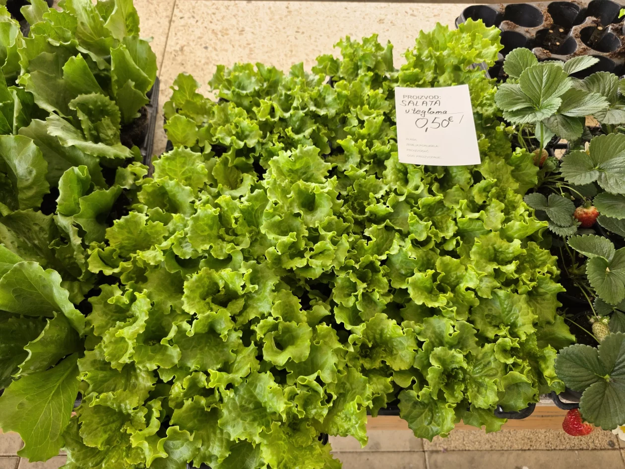 ČAKOVEČKI PLAC 25-3-2026 (47)