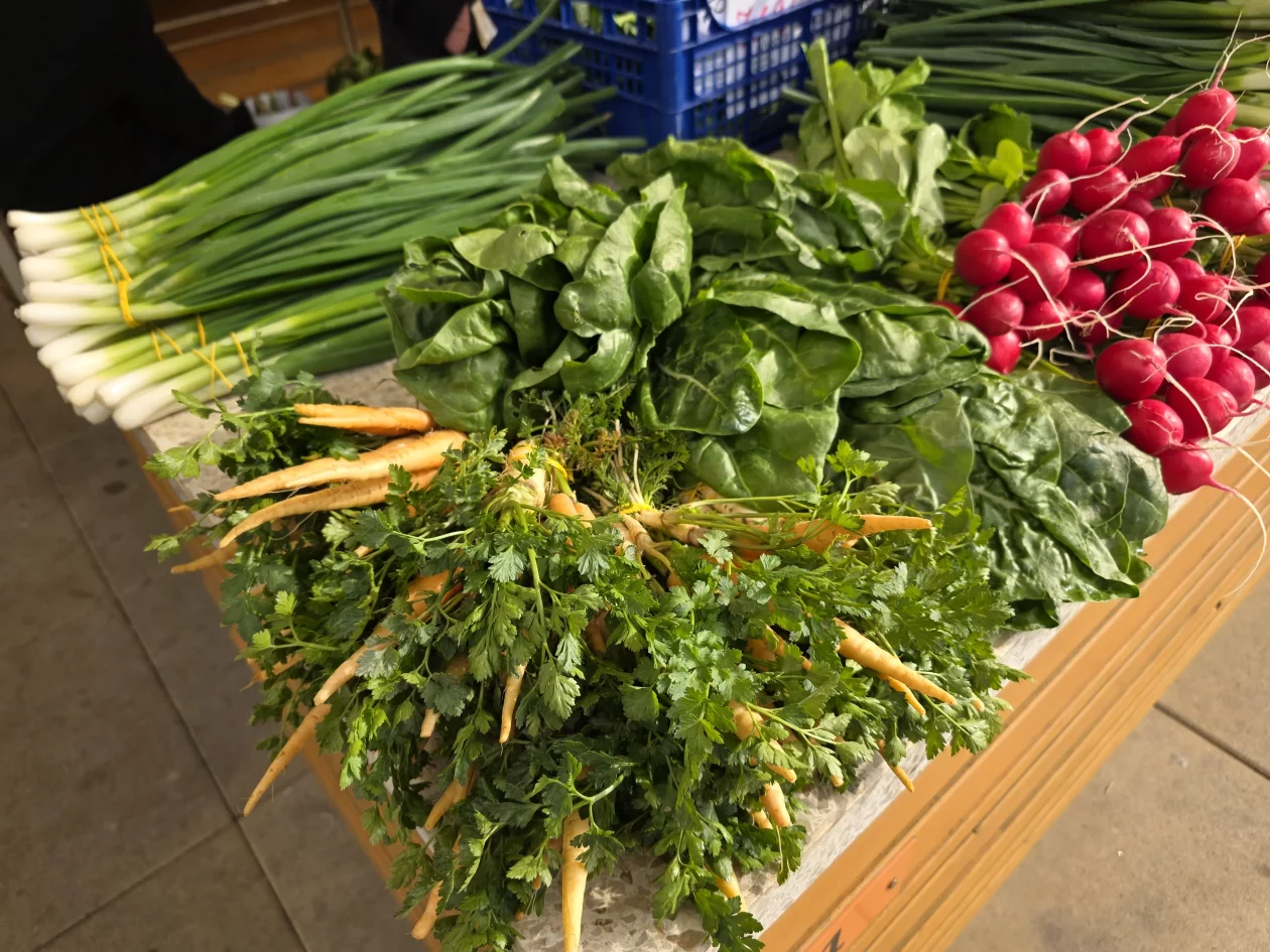 ČAKOVEČKI PLAC 25-3-2026 (5)