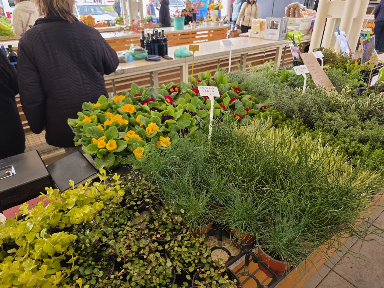 ČAKOVEČKI PLAC 25-3-2026 (58)