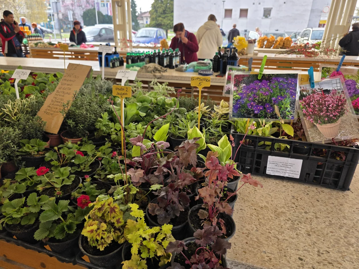 ČAKOVEČKI PLAC 25-3-2026 (59)