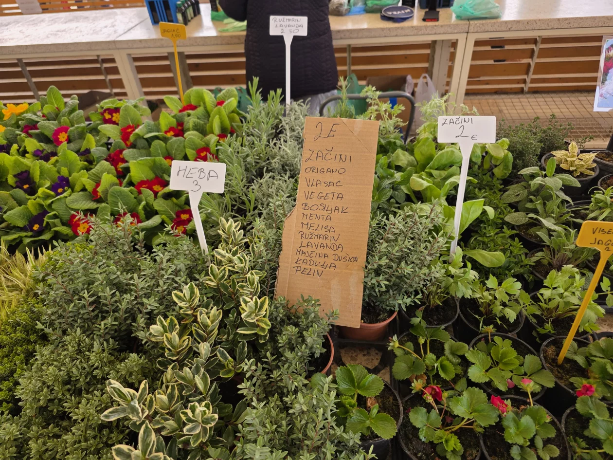 ČAKOVEČKI PLAC 25-3-2026 (61)