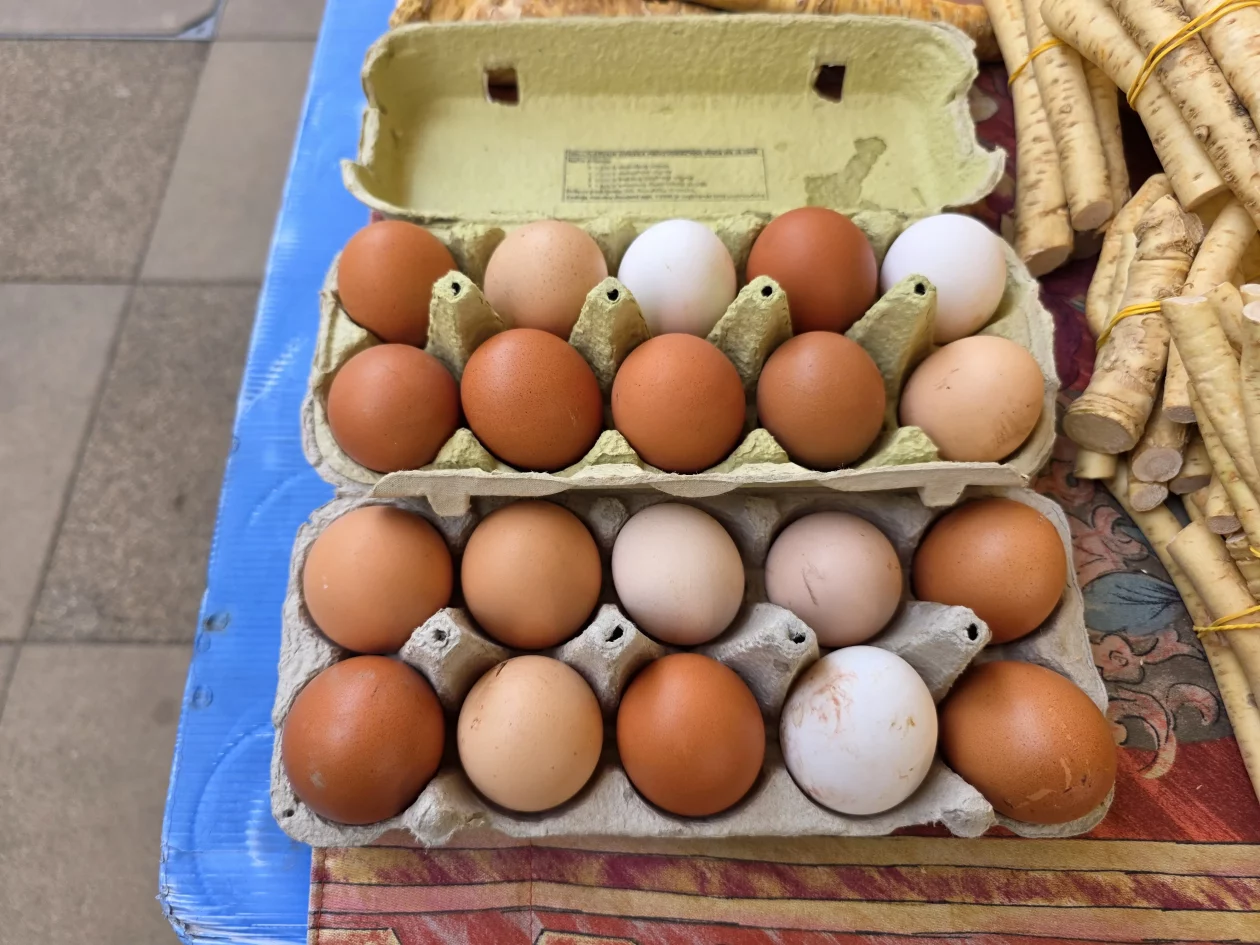 ČAKOVEČKI PLAC 25-3-2026 (64)