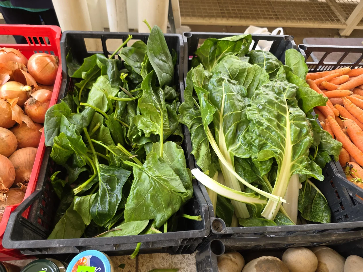 ČAKOVEČKI PLAC 25-3-2026 (74)