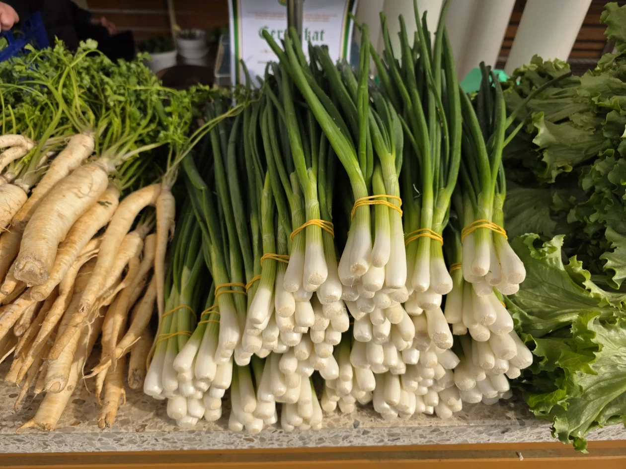 ČAKOVEČKI PLAC 25-3-2026 (8)