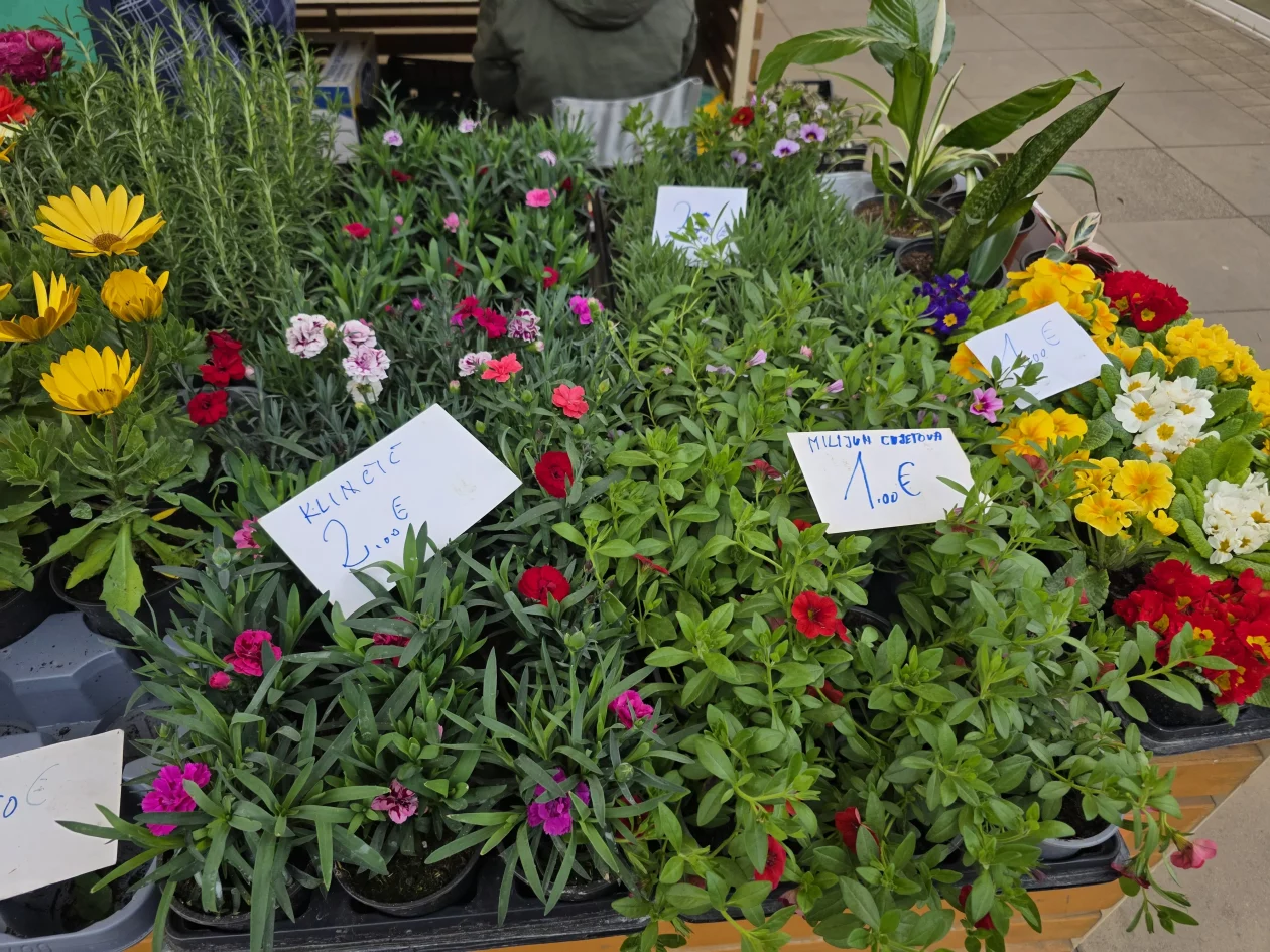 ČAKOVEČKI PLAC 25-3-2026 (83)