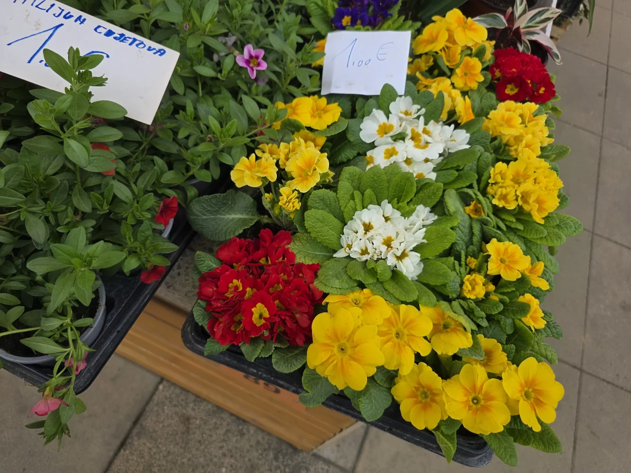 ČAKOVEČKI PLAC 25-3-2026 (85)