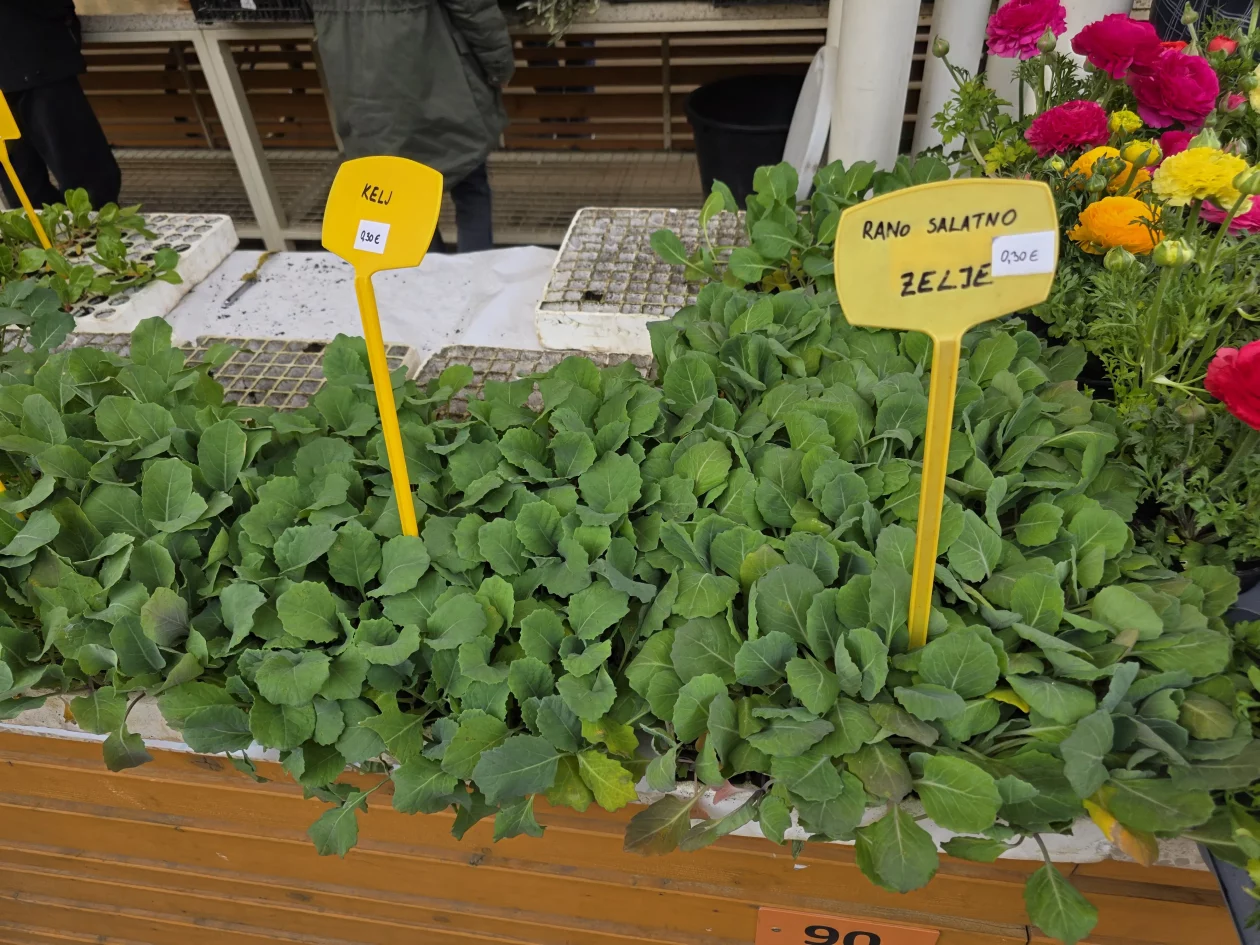 ČAKOVEČKI PLAC 25-3-2026 (86)