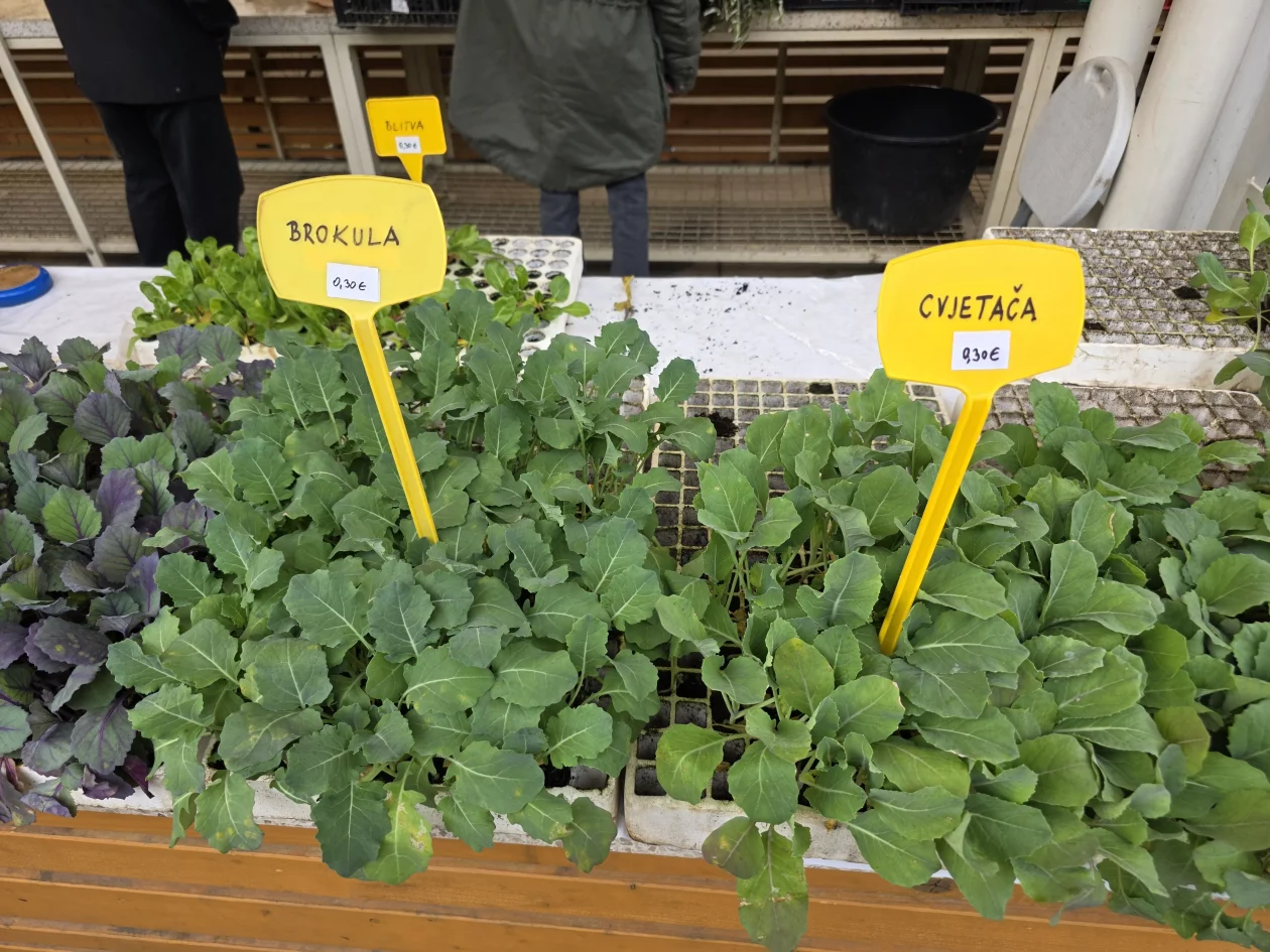 ČAKOVEČKI PLAC 25-3-2026 (87)