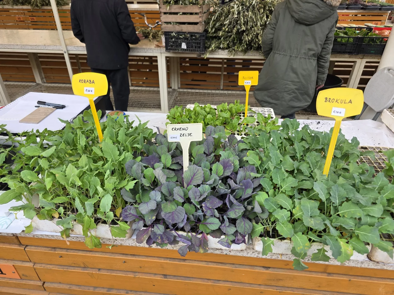 ČAKOVEČKI PLAC 25-3-2026 (88)