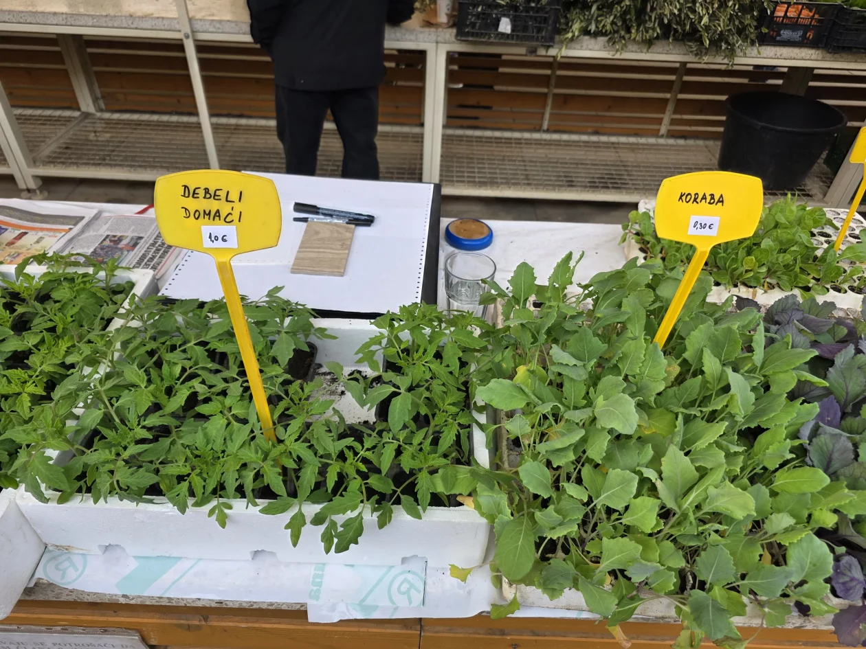 ČAKOVEČKI PLAC 25-3-2026 (89)