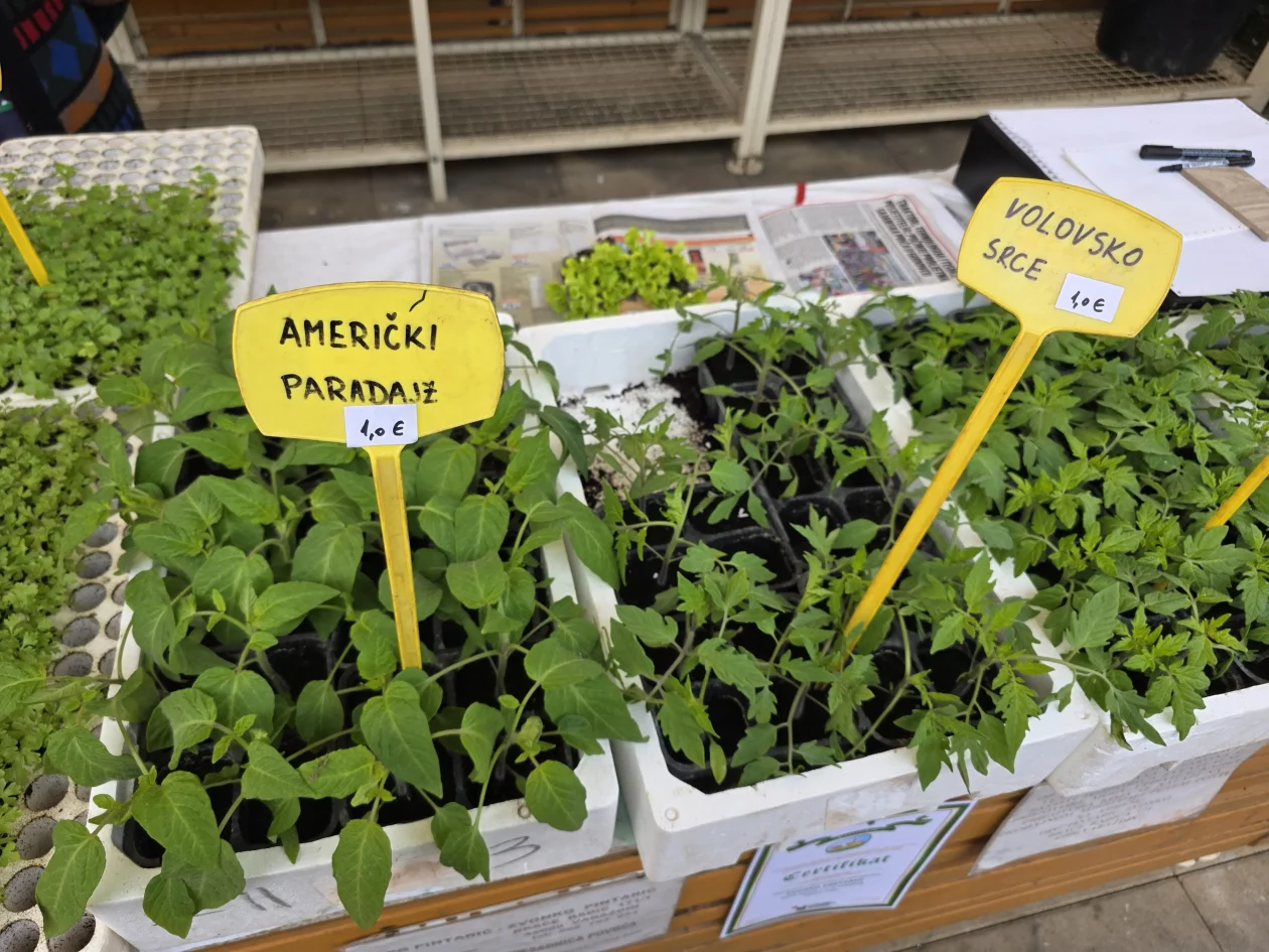 ČAKOVEČKI PLAC 25-3-2026 (90)