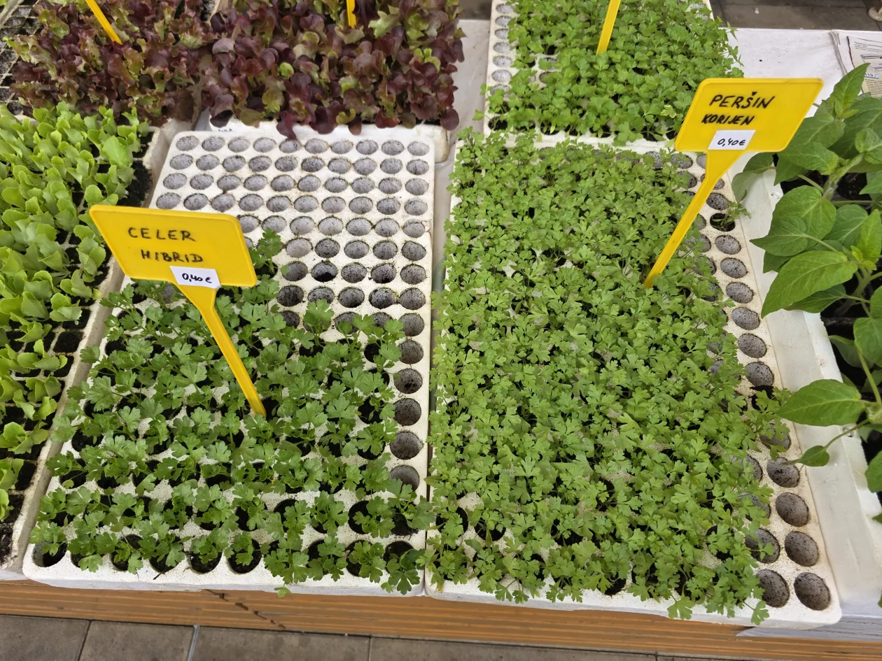 ČAKOVEČKI PLAC 25-3-2026 (91)