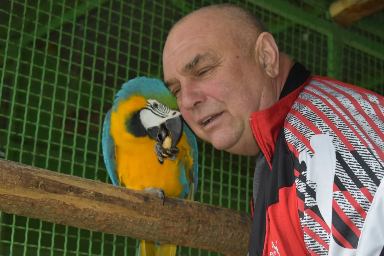 ČEHOVEC ptice Baranašić (6) ČEHOVEC ptice Baranašić (6)