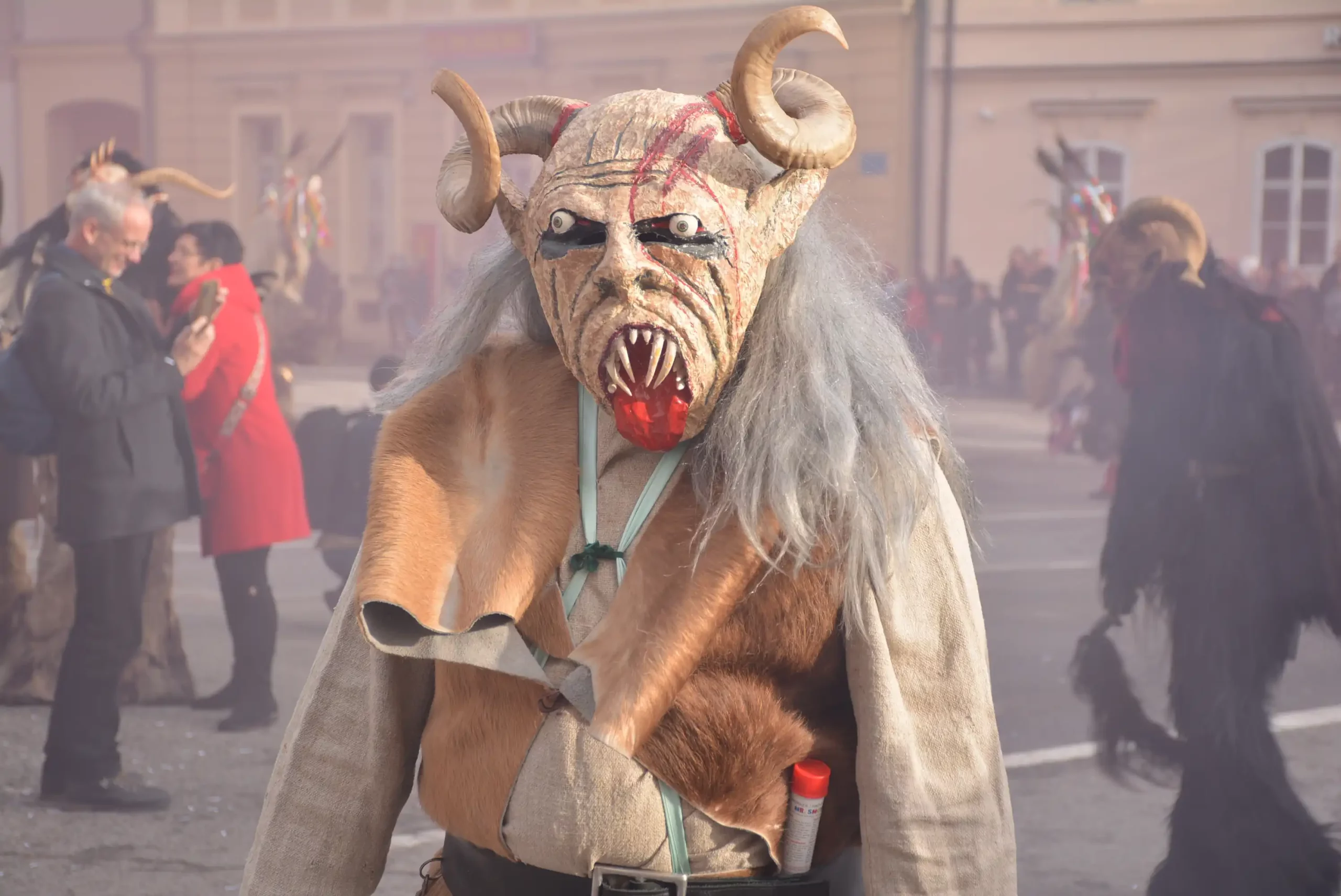 CS1_4144 fašnik 2024