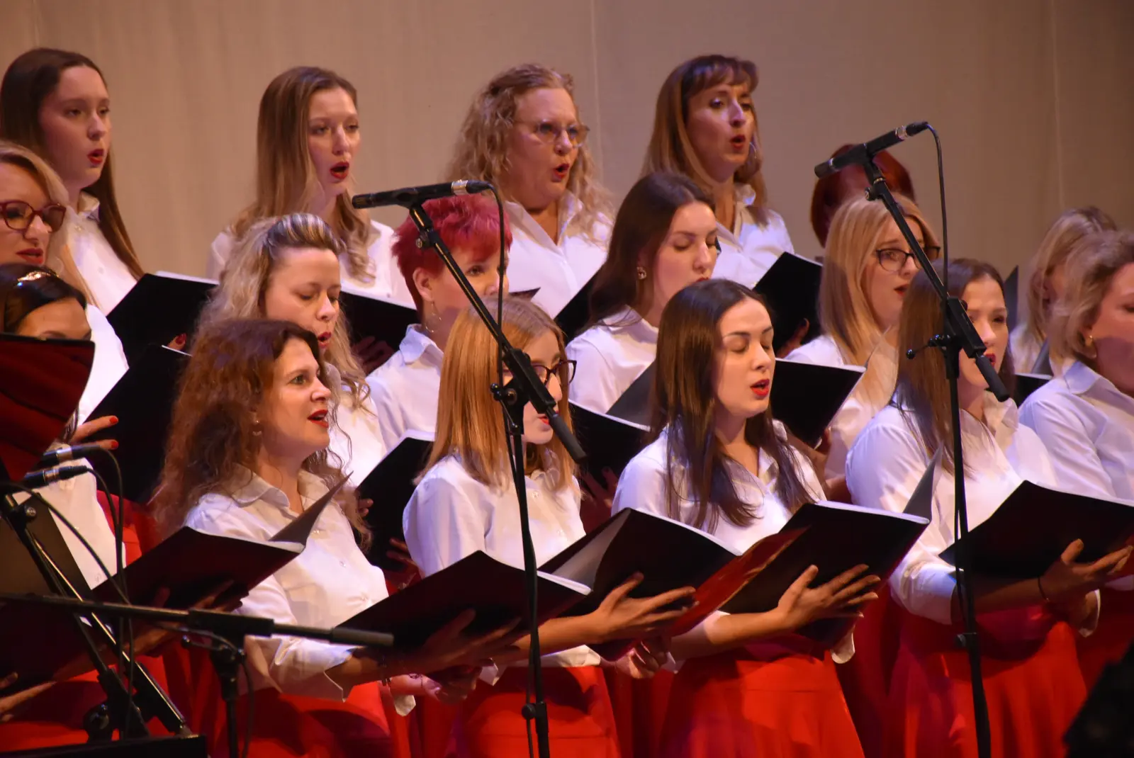 CZK, Spomendan, MŽ, identitet (29)