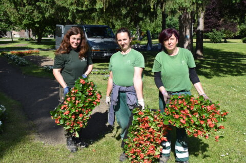 Čakom, Tatjana Horvat, Darija Kozar, Tatjana Lukman