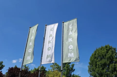 Čakom, sjedište, Čakovec (3)