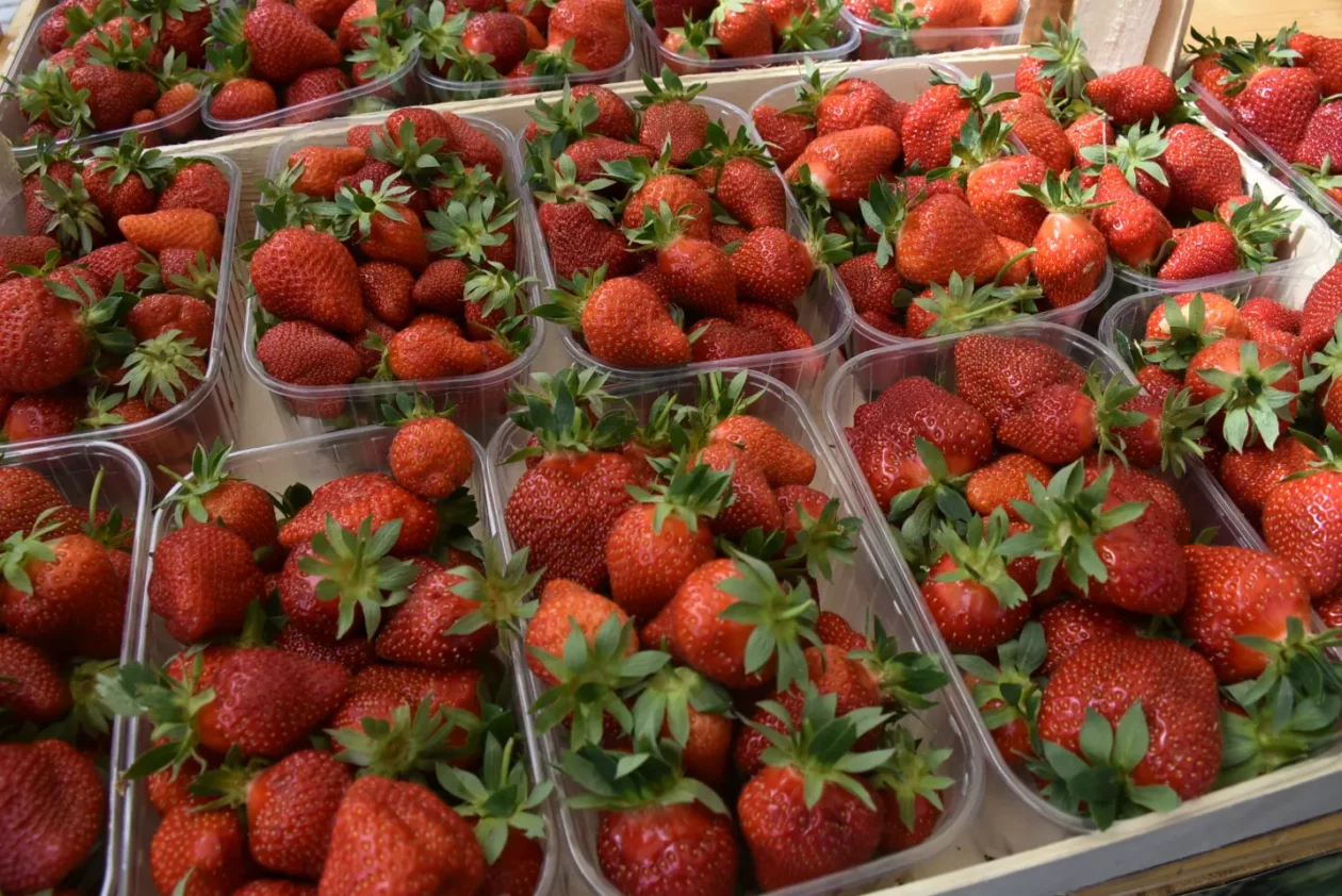 Čakovec, Dani Županije, 10.5.2025. – sajam, gulaš (14)