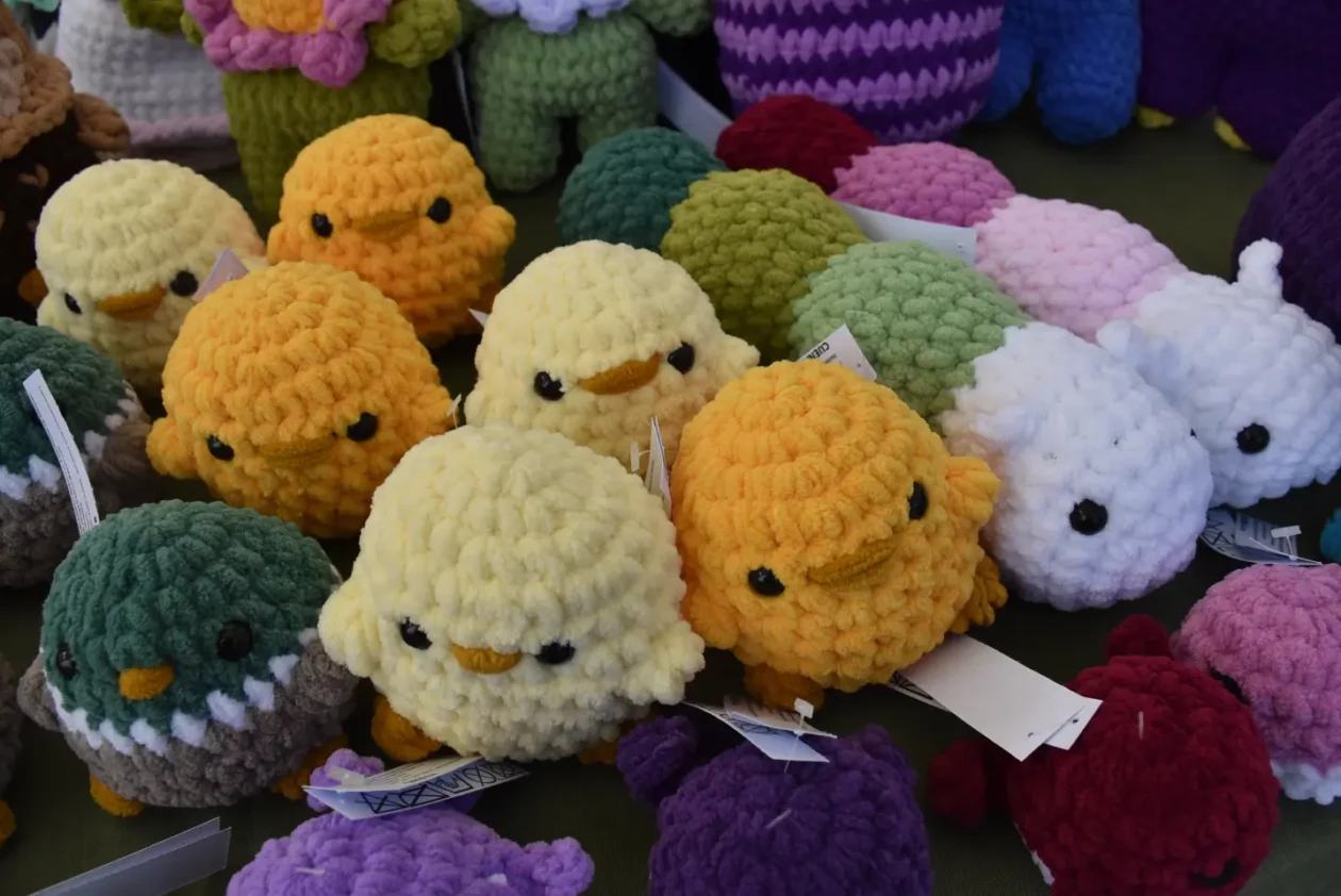 Čakovec, Dani Županije, 10.5.2025. – sajam, gulaš (18)