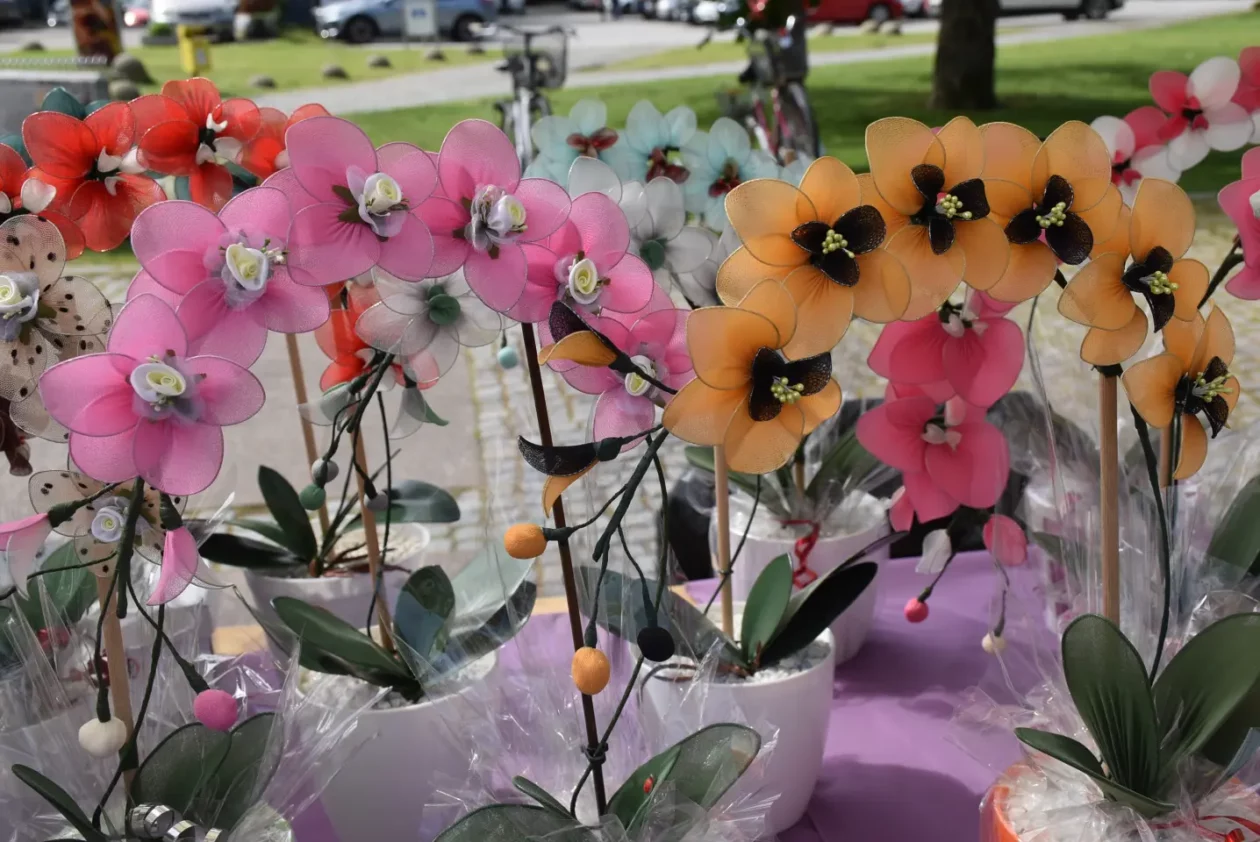 Čakovec, Dani Županije, 10.5.2025. – sajam, gulaš (30)