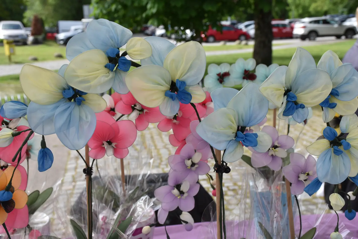 Čakovec, Dani Županije, 10.5.2025. – sajam, gulaš (31)