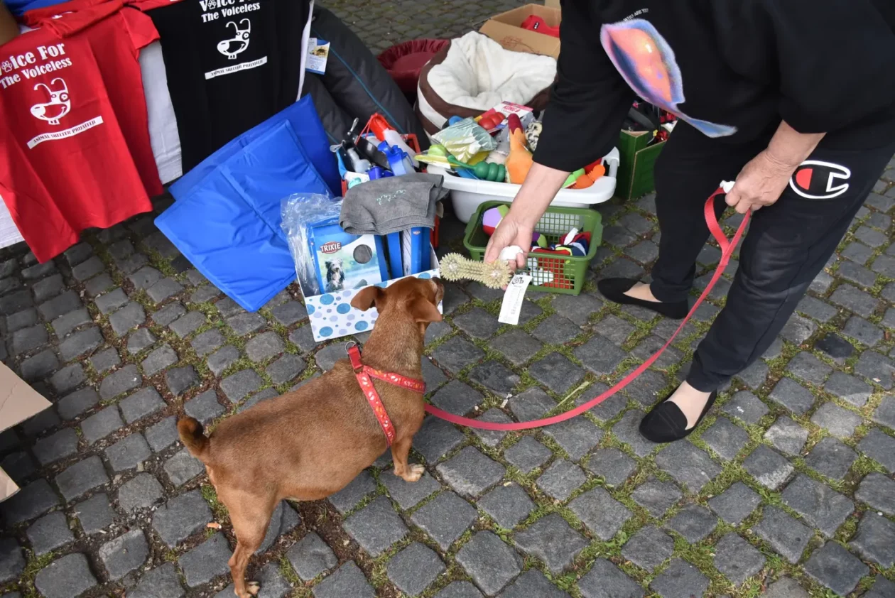Čakovec, Dani Županije, 10.5.2025. – sajam, gulaš (4)