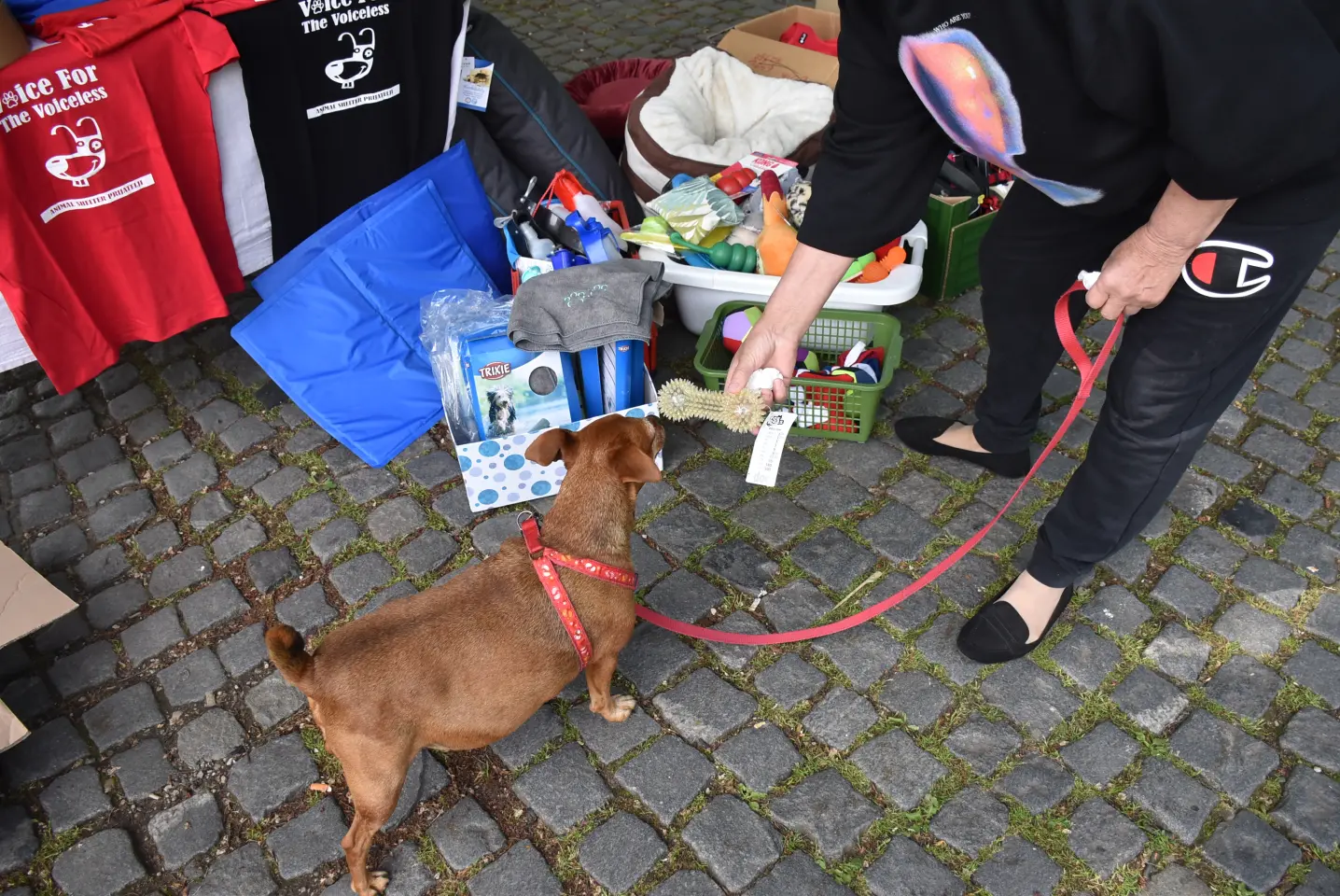 Čakovec, Dani Županije, 10.5.2025. – sajam, gulaš (4)