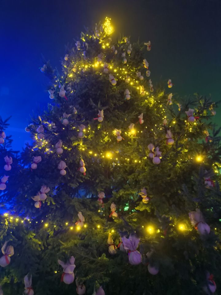 Čakovec advent 2025 (13)