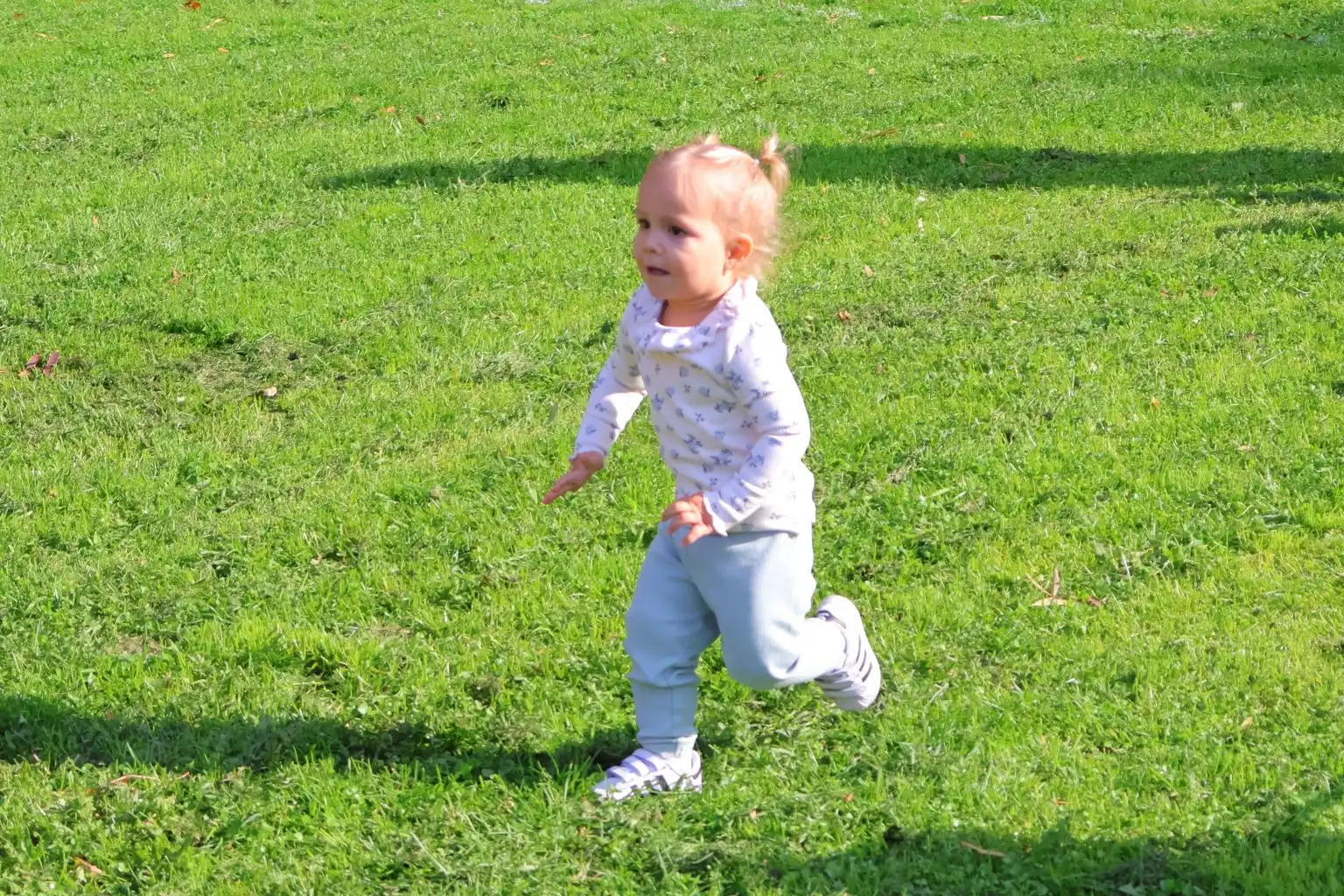 Čakovec – jesenski kros, izložba (46) Čakovec – jesenski kros, izložba (46)