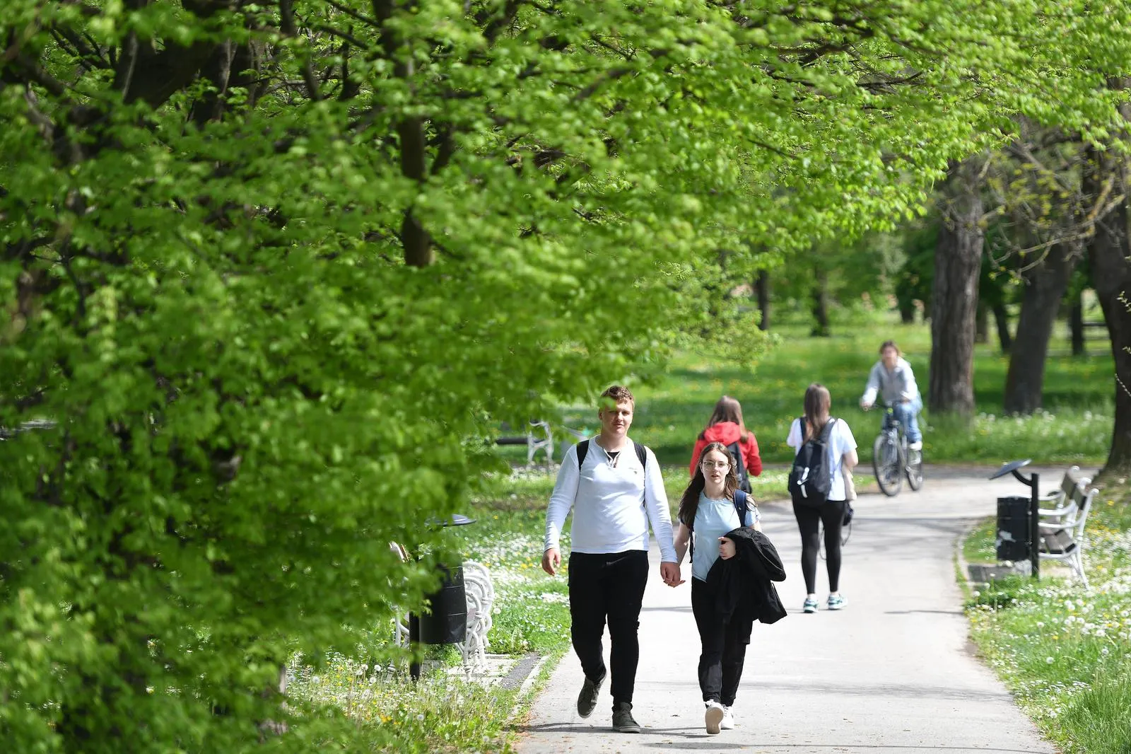 Čakovec – maslačak (5)