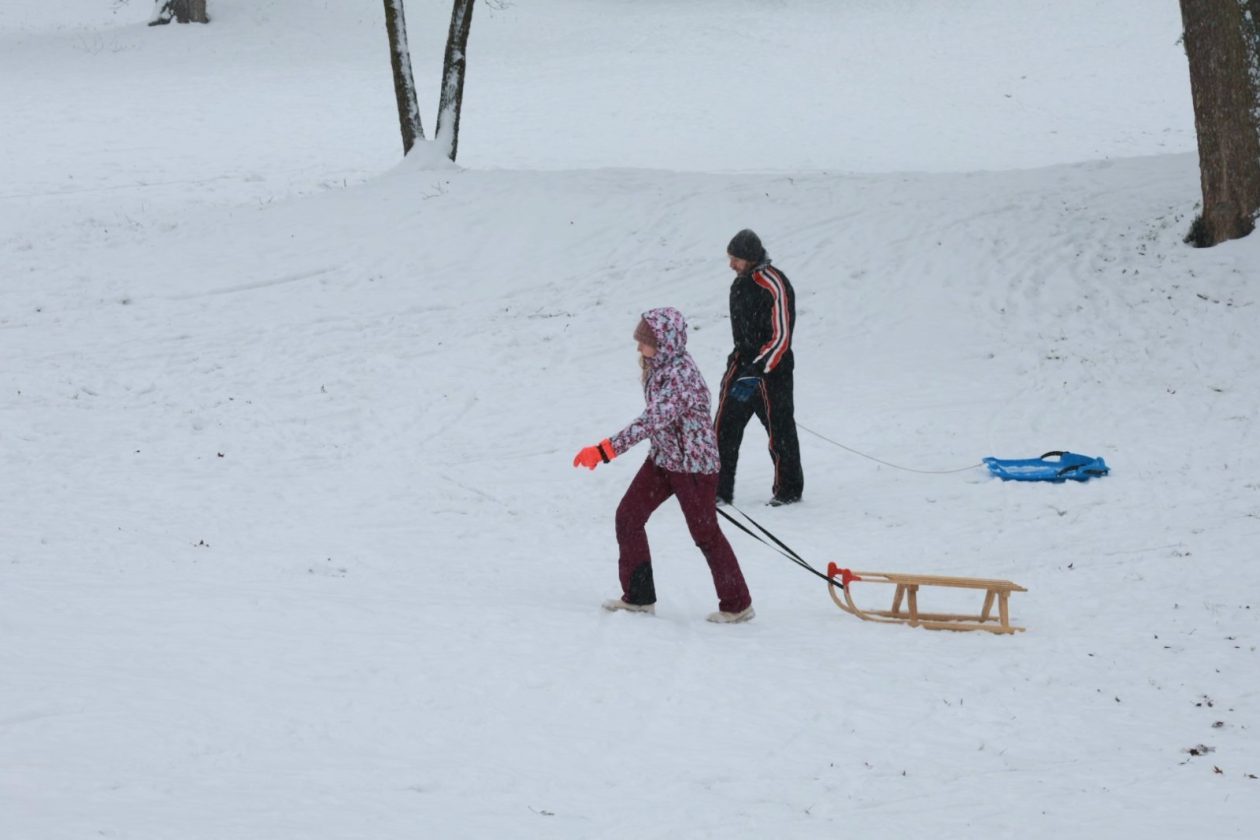 Čakovec sanjkanje (14) Čakovec sanjkanje (14)